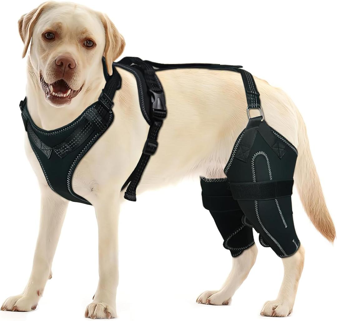 Dog Acl Knee Brace for Torn Acl LegLuxating PatellaDog Knee Braces for Back Leg Warm Joint and Relieves Joint Pain,Better Recovery with Dog Acl Knee Brace(XL)