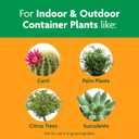 Miracle-Gro Cactus, Palm and Citrus Potting Mix, for Indoor or Outdoor Potted Plants, Great for Succulents, 8 qt., 2-Pack
