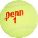 Penn Championship Tennis Balls - Regular Duty Felt Pressurized Tennis Balls