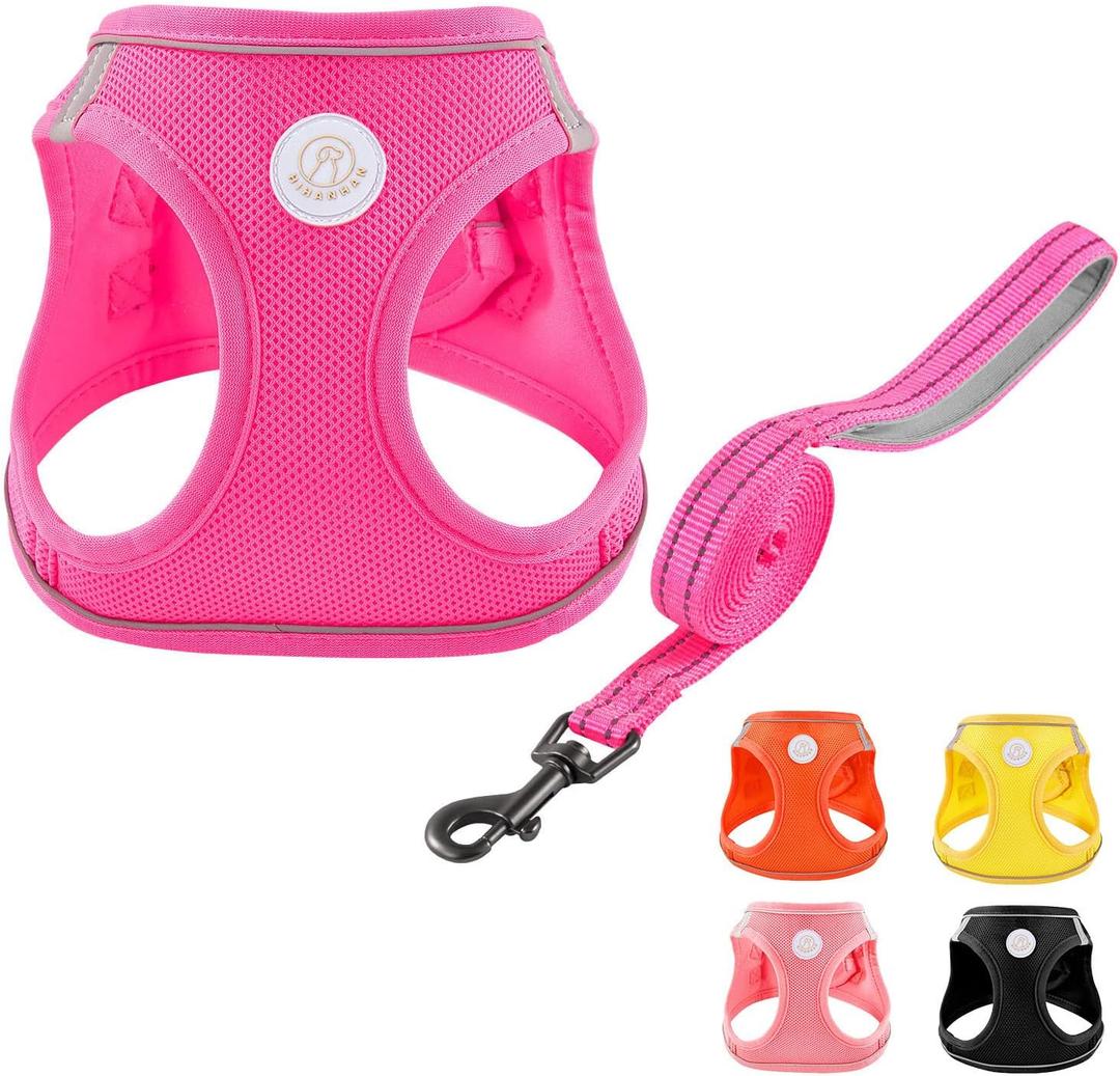 Soft Mesh Dog Harness and Leash Set, No Pull Puppy Harness and Leash Set, Reflective Step in Harness for Small Medium Dogs, Easy Walk Escape Proof Vest Harnesses (Rose Red, XS)