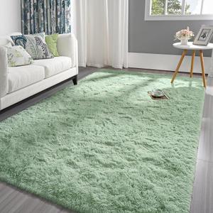 Pettop Fluffy Sage Green Area Rug for Bedroom Living Room, 3x5 Feet Soft Plush Fuzzy Rugs for Girls Kids Boys, Non-Slip and Washable Rug for Nursery Classroom, Carpet for Rooms Decor