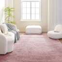 Fluffy Washable Area Rug, Shaggy Carpet for Living Room, Bedroom, 5' W 7' L, Pink