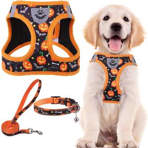 PUPTECK Adjustable Dog Harness Collar and Leash Set Step in No Pull Pet Harness for Small Medium Dogs Puppy and Cats Outdoor Walking Running, Soft Mesh Padded Reflective Vest Harnesses, Halloween, Medium