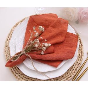 Dinner Cloth Napkins 10 Pack,Gauze Napkins 100% Natural Soft Cotton,Washable Fall Napkins for Wedding Decorative,Thanksgiving,Family Everyday Use,40 * 40cm (16 * 16 inches),Terracotta