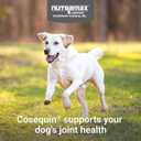Nutramax Cosequin for Dogs Joint Health Supplement, Contains Glucosamine for Dogs, Plus Chondroitin, MSM and HA, Supports Healthy Joints, Chewable Tablets, 75 Count