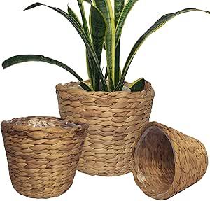 Seagrass Planter Basket Set 3 Pcs 8x9, 9x10, 10x12