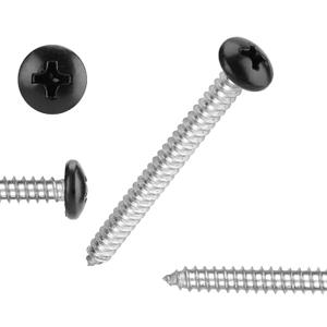 Black Head 100 PCS #6x1 Stainless Steel Phillips Pan Head Wood Screws,Stainless Steel 18-8 A2(304) Screw,Home Screw Kit by QISHENG