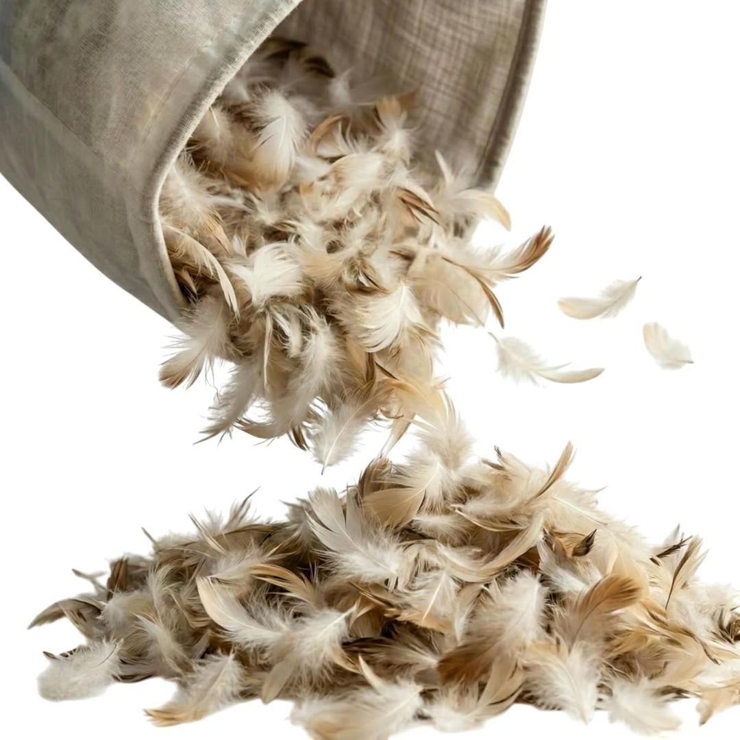 East Coast Bedding 10/ 90 Goose Down Feather Filling, Bulk Pillow Stuffing for Refilling Cushions Upholstery and DIY Projects, RDS Certified, Size: 10 lbs