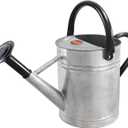 1 Gallon Metal Watering Can with Removable Spout, Nice Galvanized Steel Water Can for Indoor and Outdoor Plants (House Plants) (Silver)