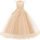 Girls Lace Pageant Party Dress Wedding Flower Girl Maxi Gowns Flower A Line Birthday Dance Evening Tulle Floor Length Skirt Champagne 7-8 Years