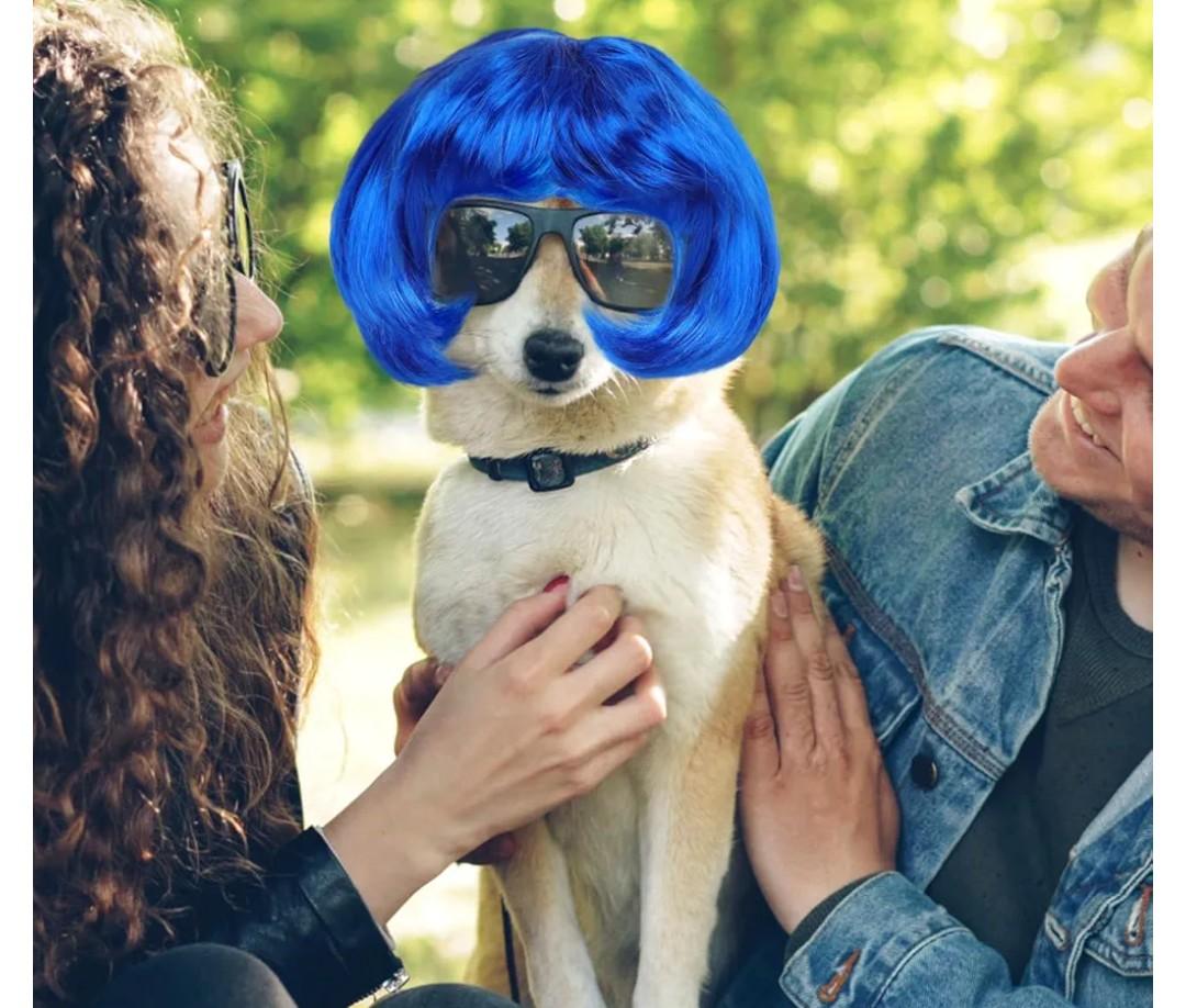 BESPORTBLE Funny Dog Cat Cosplay Wig, Pet Headwear Apparel, Trimmable Pet Wig for Small Medium Large Dogs Cosplay Accessories for Halloween Christmas Dress up Parties, Blue