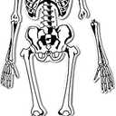 Learning Resources Skeleton Floor Puzzle - Science Classroom Must Haves, STEM Student Essentials, Practice Anatomy, Back to School Supplies for Teachers, Ages 3+