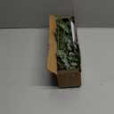 Winlyn 20 Pcs Mixed Artificial Oval Eucalyptus Leaves Bulk with White Seeds Stems and Spray for Vase Floral Wreath Bouquets Wedding Greenery Decoration