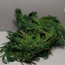 2 Pcs Artificial Norfolk Pine Garlands Christmas, 9 FT Dense Real Touch Winter Pine Garland Ornament, Green Artificial Greenery Garland for Table, Mantle, Wall, Indoor, Outdoor Christmas Decorations