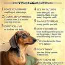Retro Tin Sign Vintage Metal Wall Art for Home, Bar, Cafe, Garage or Office - Durable & Colorfast - Thoughtful Gift for Any Space - A DACHSHUND'S HOUSE RULES