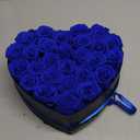 Preserved Roses Heart Shape Box Valentines Day Gifts for Her Mothers Day Forever Flowers (Blue, 27 Roses)