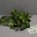 mizii 2 Strands Artificial Scindaps Vines Garland 73" Fake Vine with Silk Green Leaves Faux Evergreen Hanging Plants Greenery Decoration for Party Wedding Bedroom Home Wall Room Decor (Scindapsus)