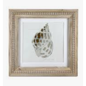 New View Coastal Wall Art Featuring a Seashell Print in a Wooden Frame.