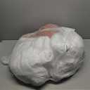 MUXHOMO 7 Pieces Queen Comforter Set, Seersucker Bed in a Bag Queen Size, All Season Luxury Bedding Set with Comforter, Flat Sheet, Fitted Sheet, Pillowcases & Shams, Burnt Orange (Queen (88"x88"))