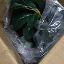 AlphaAcc Artificial Plants Decor Greenery Fake Succulents Indoor Potted Fake Plant with Rustic Black Clay Planter for Home Decor Farmhouse Room Bathroom Bedroom Kitchen Office Table Decor (12.8" H)