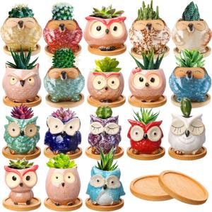 Cindeer 18 Pcs 2.5 Inch Owl Ceramic Succulent Planter Pots Mini Small Ceramic Pots with Drainage Hole and Bamboo Tray for Succulents Glaze Cactus for Home Garden Office Desk Decoration Gift Ideas