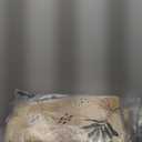 Blissful Diary Baby Play Mats for Floor, 50x50 Playpen Mat, Thick Cushioning Padding Foam Playmat for Baby and Toddlers Infants, Non-Slip & Machine Washable, Earth Tones Design