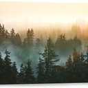 Large Wall Art for Bedroom Living Room Forest Bathed in Sunlight Canvas Print Picture Painting Framed Artwork Wall Decor for Bathroom Modern Room Plants Wall Decorations Size 58x29 Ready to Hang