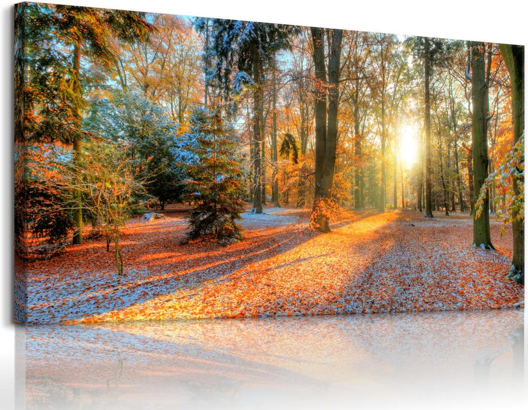 Bamdeya Forest Canvas Wall Art Large Picture Autumn Poster Sunset Tree Wall Decor Natural Landscape Painting Fall Scenery Artwork for Bedroom Living Room Decor Office Home Decorations, Size: 40"L x 20"W