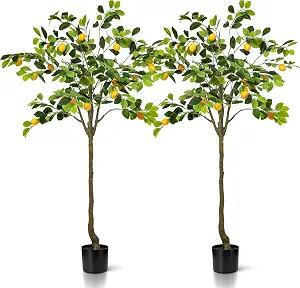 Jexine 2 Pack Artificial Lemon Tree 5 ft Tall Fake Plant Pre Potted Faux Lemon Tree Realistic Fruits for Indoor Home Decor Office Living Room