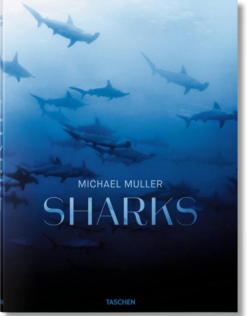Michael Muller. Sharks 