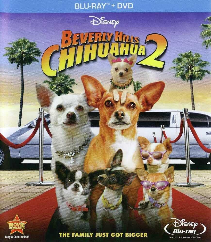 BH Chihuahua 2 (BD)