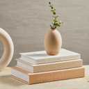 Aesthetic Decorative Books - Coffee Table Books Decor - Faux Decor Book Storage Box for Decoration - Set of 3 Linen Fake Book for Home Table Decor - Bedside Tables Decors - Home Room Bookshelf Decors