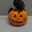 Halloween Pumpkin Solar LED Light Outdoor Solar Powered Garde Decorative Light IP44 Waterproof for Outdoor Home Decor & Halloween Party Decorations-Crow