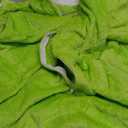 Adult Onesie Pajamas Unisex Animal One-Piece Cartoon Costume Cosplay Homewear Sleepwear Partywear For Men Women (Light Green) XL