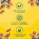 belVita Bite Size Snacks, Blueberry Crunchy Bites, 5 oz