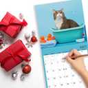 3 x 2026 Wall Calendar,Cats Calendar 2026,Cat bathing Monthly Wall Calendar, 12" x 24" Open,Family Planner Calendar Organizer with funny cat Images, for Cats Lovers