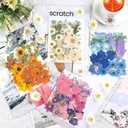 Nuanchu 200 Pcs Pressed Flowers Bulk Dried Flower for Craft Resin Mold Bookmark Scrapbooking Nail Cake White Orange Natural Pressed Dried Floral with Tweezer DIY Gift(Mixed Color,Artistic Style)