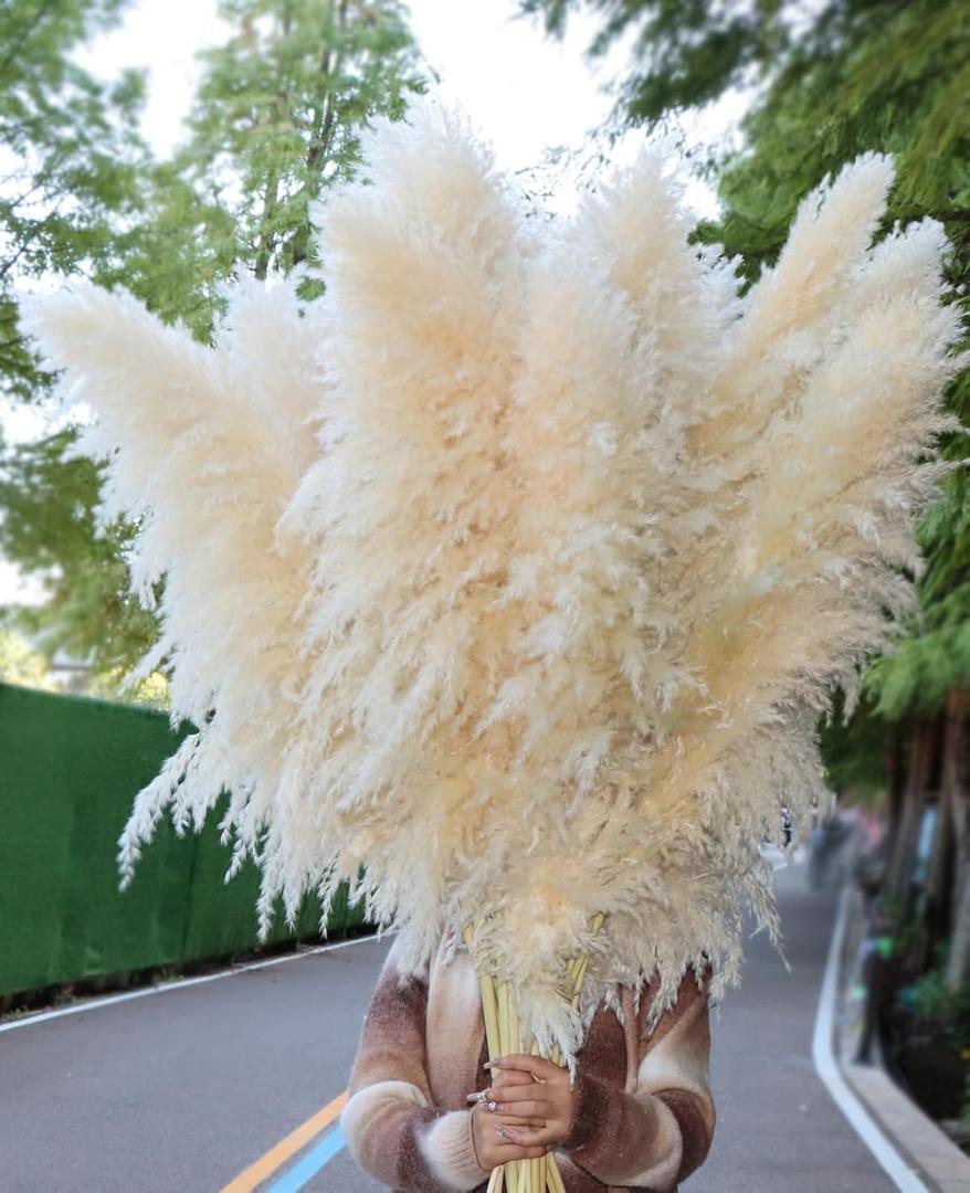 15pcs 40''Dried Pampas Grass Decor Tall-Large pompas Grass-Natural Beige Tall Pampas Grass for Floor Vase,Wedding,Party,Farmhouse,Living Room Floor,Boho Home Decor