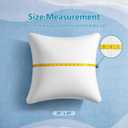 AM AEROMAX 20 20 Pillow Insert (Pack of 2) Memory Foam Throw Pillow Insert Sham Square for Decorative Cushion Bed Couch Sofa Without Deform After Longtime Use