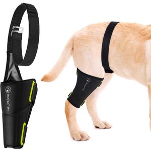 Dog Knee Brace Pro, for Dogs ACL, Luxating Patella,Dog Hip Brace for Back Leg - Keeps The Joint Warm and Stable - Extra Support - Reduces Pain, XL