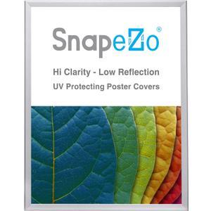 SnapeZo Poster Frame 36x48, Silver, 1.25 Inch Aluminum Profile, Front-Loading Snap Frame, Wall Mounting, Professional Series