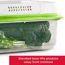 Rubbermaid FreshWorks Saver, Large Produce Storage Container, 18.1-Cup, Clear
