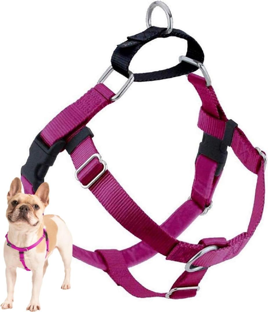 2 Hounds Design Freedom No Pull Dog Harness, Adjustable Harness, Easy Walking & Comfortable Control, Fits Small, Medium & Large Dogs, Solid Colors, Made in USA, 1" MD, Raspberry