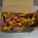 Hanaive 20 Pcs Bird of Paradise Artificial Plant 24 Inches Hawaiian Tropical Flowers Fake Rubber Strelitzia Faux Flowers Bouquet for Home Garden Office Wedding Indoor Outside Party Decor DIY (Yellow)