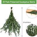 Real Eucalyptus Stems Greenery Decor 20PCS 17" Dried Willow Eucalyptus Plant Preserved Greenery Stems for Home Vase Filler Wedding Flowers Arrangement Spring Mother's Day Decorations