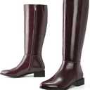 Shoe'N Tale Women's Knee High Boots Chunky Low Heel Pointed Toe Winter Shoes with Side Zipper (7.5)