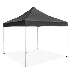 Steel Frame Canopy - 10 x 10', Black