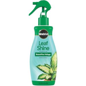 Miracle-Gro Leaf Shine, 8-Ounce Green (1 Pack)