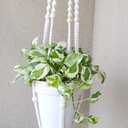 Macrame Plant Hanger Extra Long (52") Indoor Plant Holder with Beads, no Tassel- Long Plant Hanger for Tall Ceiling- Hanging Plant Holder for 6-14Pots -(1 Pack)