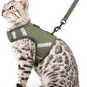 pangdi Cat Harness and Leash Set, No Over-the-Head Cat Vest, Dark Green, M